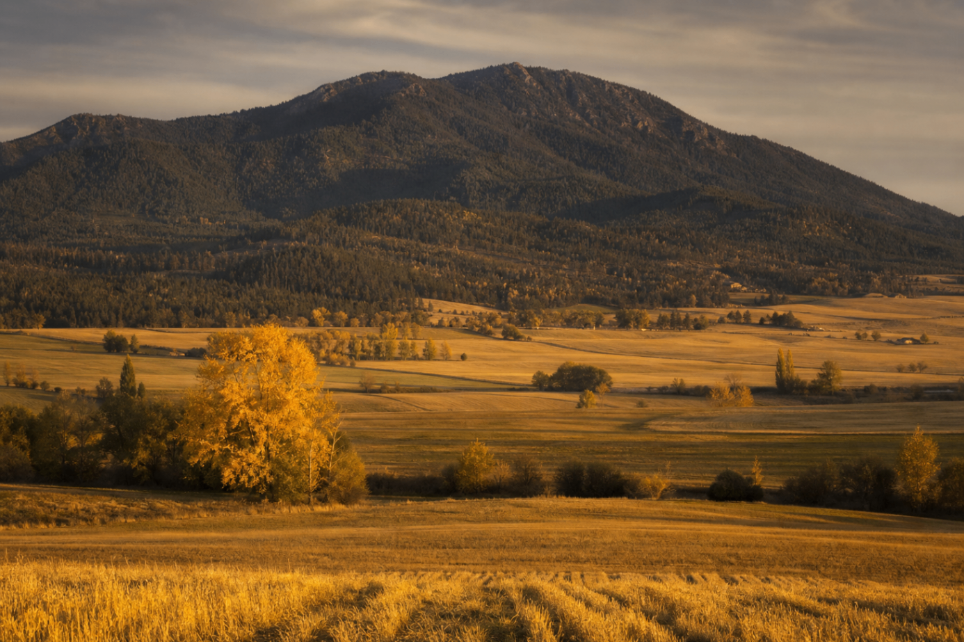 Golden fields below Rathdrum Mountain in warm evening light